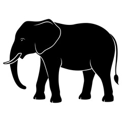 Elephant vector illustration