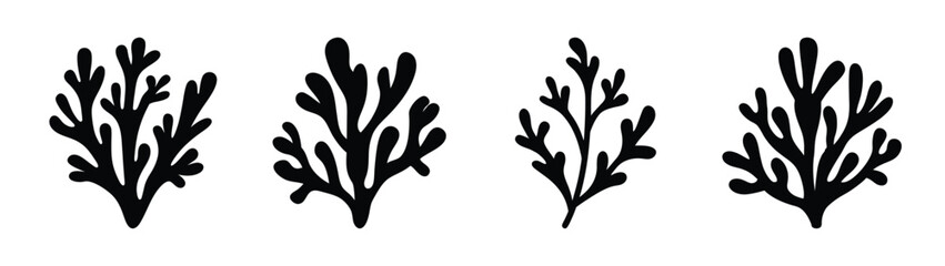 Obraz premium Set of four stylized black seaweed silhouettes decorative marine plant graphics