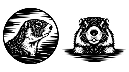 Marmot animal head illustration