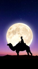 Silhouette of a camel rider against a moonlit night sky