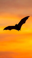 Silhouette of a bat in mid-flight against a vibrant orange and yellow sunset. The bat's wings are spread wide