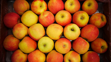 Many nice fresh apples in a market box