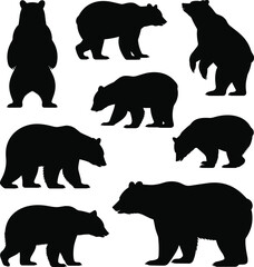 Bear silhouettes in multiple poses, walking, standing, motion, black vector, wild animal, nature shape, forest icon, wildlife illustration
