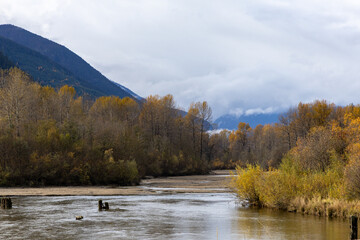 Autumn River Scene With Golden Trees, Calm Water, And Mountain Backdrop In Pemberton, Canada
