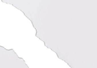 Torn strips of paper book page, faded paper scrap with copy space isolated for design