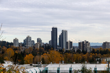 Fototapeta premium Modern City Skyline With Tall Towers Over Autumn Trees In Burnaby, Vancouver Area