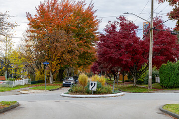 Obraz premium Autumn Roundabout With Colorful Fall Trees In New Westminster Neighborhood, Greater Vancouver, BC
