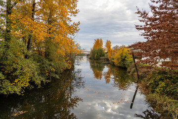 Autumn River Scene With Golden Trees, Calm Water, And City In The Background