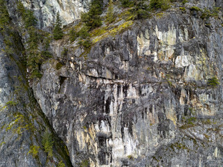Steep Rocky Cliff Face With Moss and Sparse Trees Towering Over a Canyon