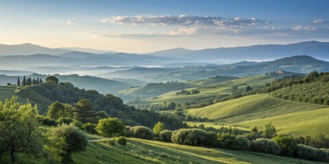 Obraz premium Panoramic landscape view of rolling green hills covered in morning mist and soft sunlight. Image conveying tranquility, natural beauty, travel, ecology, and peaceful scenery.