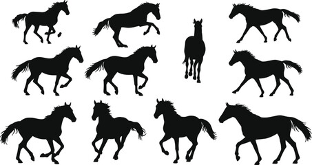 Horse silhouettes, walking, trotting, galloping, dynamic poses, equine motion, black vector icons, animal movement, mane flow, anatomy reference, grid layout