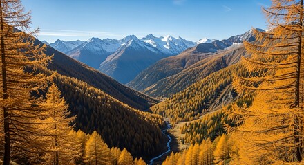 Autumnal Alpine Valley with Golden Larch Trees and Snow-Capped Mountains.