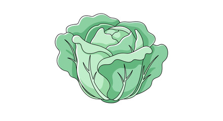 Fresh Green Cabbage Illustration Isolated on Black Background, Digital Veggie Design