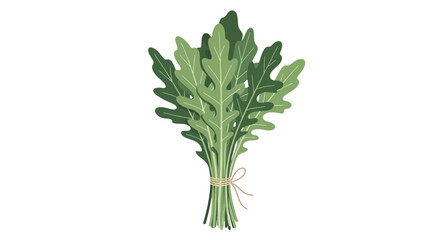 Fresh Arugula Bunch Illustration, Isolated on Deep Black, With Twine Detailing