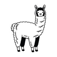 Fototapeta premium Web