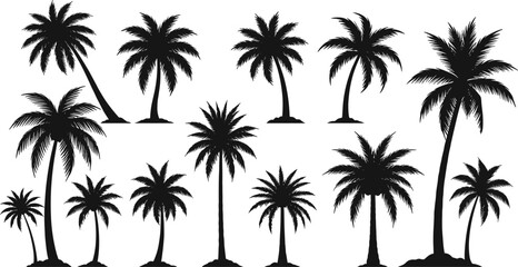 Palm tree silhouettes, tropical design, black vector, nature icons, curved trunks, frond shapes, beach vibe, minimal style, graphic set, exotic foliage