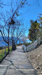 Fototapeta premium path in the park