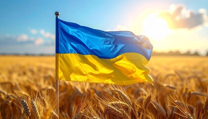 Ukrainian Flag Waving Proudly Over Golden Wheat Field Under Bright Sun Symbol of Hope and Resilience