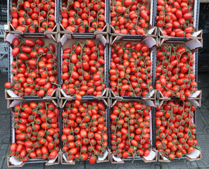 Cherry tomatoes in boxes at street market. Vegetables and farm produce.