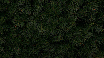 christmas tree background