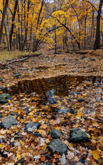 741-12 Hammel Creek in Autumn