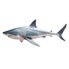 Fototapeta premium Great white shark swimming with transparent background
