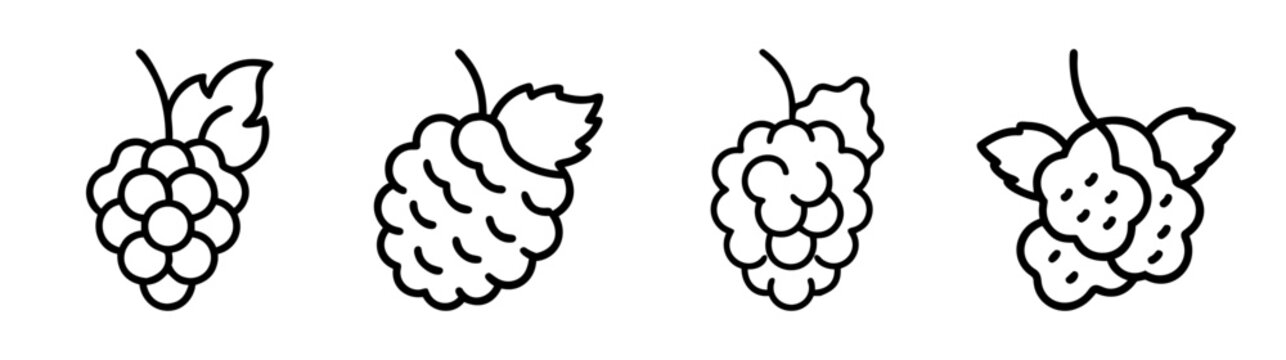 Four hand drawn line art style mulberries with leaves isolated on white