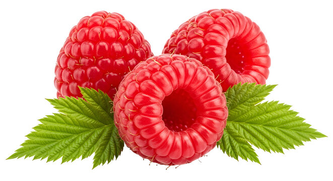Fresh raspberries raspberry fruit red raspberries healthy food summer raspberries on transparent background