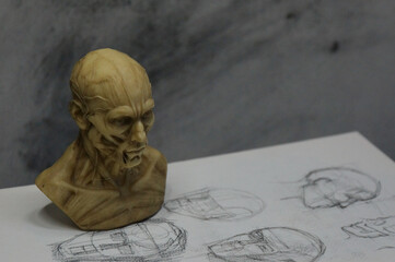 Anatomy sculpture of human head on detailed drawing