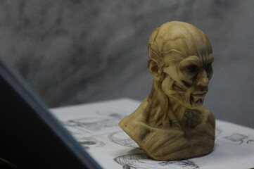 Anatomy sculpture of human head on detailed drawing