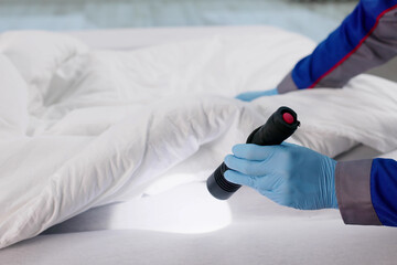 Male Exterminator Inspecting Beds For Bed Bugs