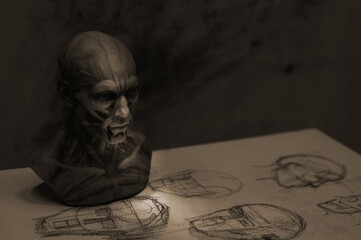 Anatomy sculpture of human head on detailed drawing