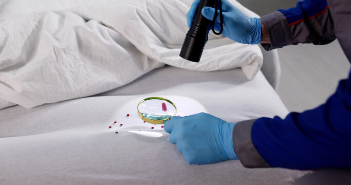 Detecting Bedbug Infestation In Hotel Mattress