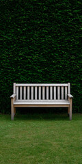 Wooden bench set against a green hedge in a peaceful garden space during daylight hours