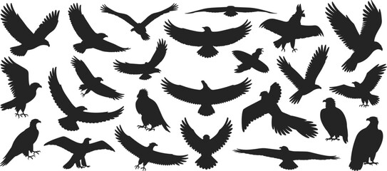Bird silhouette set with flying and perched poses, black winged animal icons for nature, wildlife, design and education themes