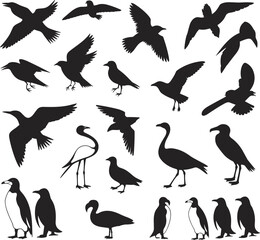 Bird silhouette set in varied species and poses, black flying and perched birds for nature, wildlife, design and education themes