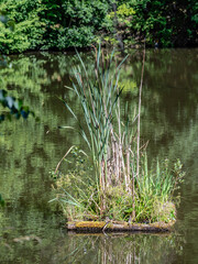 Waldviertler Naturlandschaft