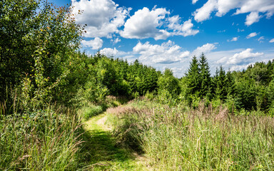 Waldviertler Naturlandschaften