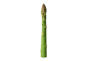 Green asparagus spear representing healthy diet ingredient