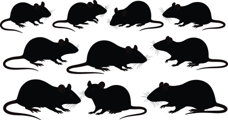 “Collection of detailed rat silhouette illustrations, showing various natural poses and body shapes, ideal for wildlife themes, animal graphics, pest control designs, and vector artwork.”