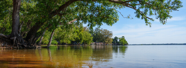 Lake and forest scenery and sky