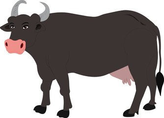 indian cow animation ready vector illustration