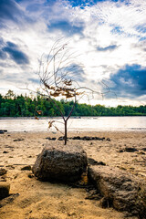 P&uuml;rbacher Teich