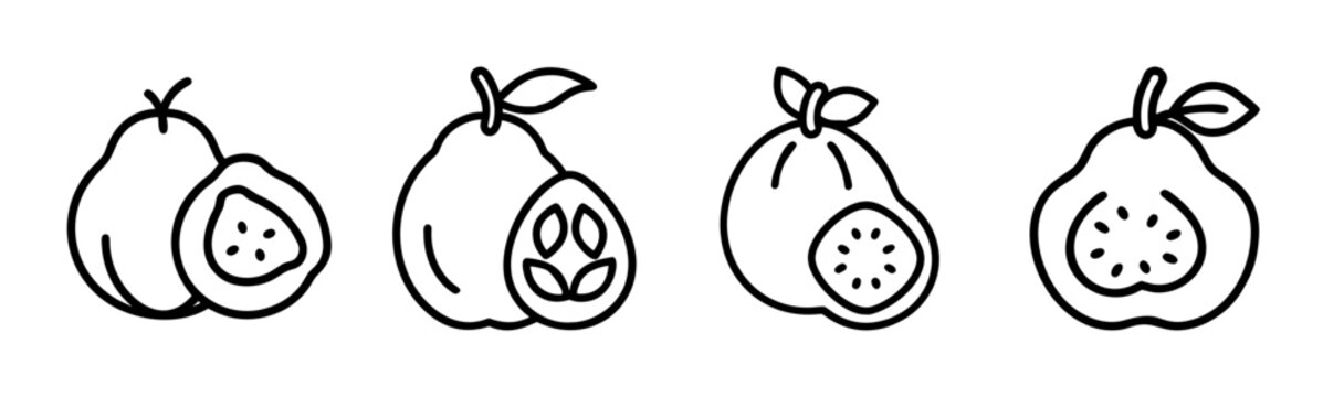 Set of white sapote fruit illustrations and slices hand drawn outline style