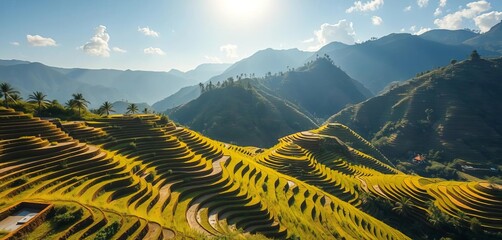 Sun-drenched terraced rice paddies cascading down hillside,  geometric,  irrigation
