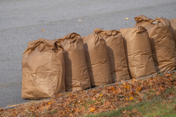 fallen leaves collected in recycle paper bag in autumn for curbside recycling
