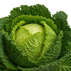 Fresh Green Cabbage Vegetable With Water Droplets Detailed Macro Photography Isolated On Transparent Background