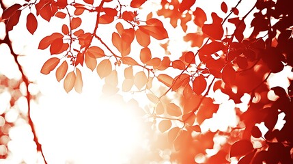 Elegant blend of gold and red tones featuring gentle floral shadows and soft radiant glow