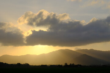 Golden Misty Sunbeams Over Lush Paddy