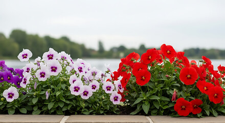flowers in the garden